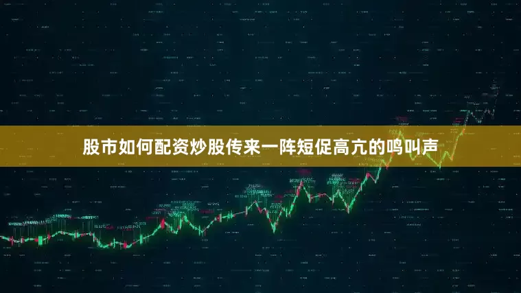 股市如何配资炒股传来一阵短促高亢的鸣叫声