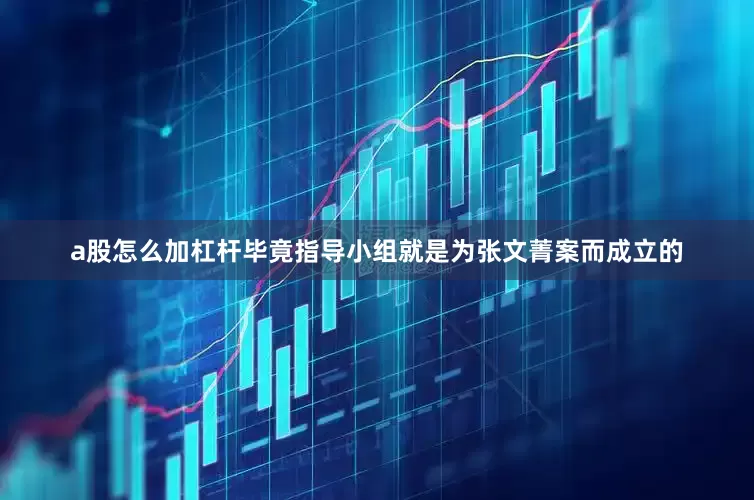 a股怎么加杠杆毕竟指导小组就是为张文菁案而成立的