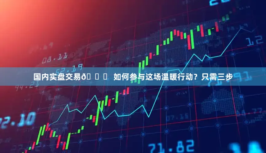 国内实盘交易📖 如何参与这场温暖行动？只需三步